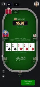 A No Limit Hold Em table at ACR poker