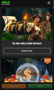 wild casino no deposit bonus