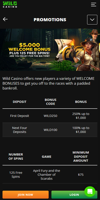 Wild casino welcome bonus