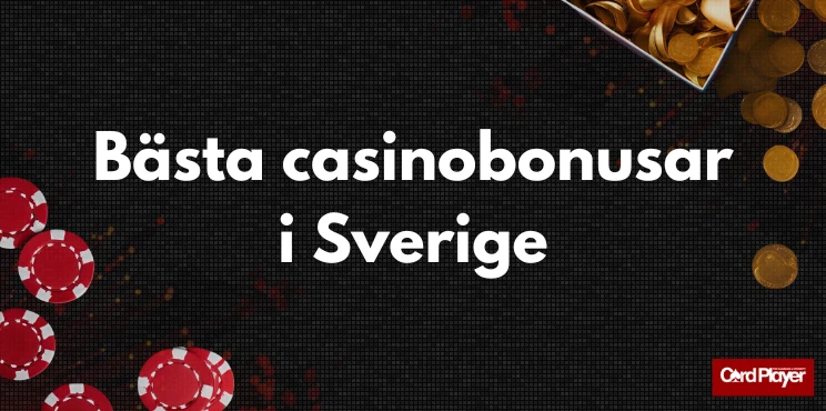 Text med titeln olika typer av bonusar på casino med pengar och en present med röd rosett i bakgrunden.